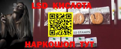 гидропоника Новозыбков