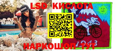 гидропоника Новозыбков