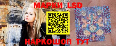 гидропоника Новозыбков