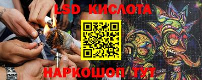 гидропоника Новозыбков