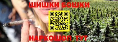 гидропоника Новозыбков