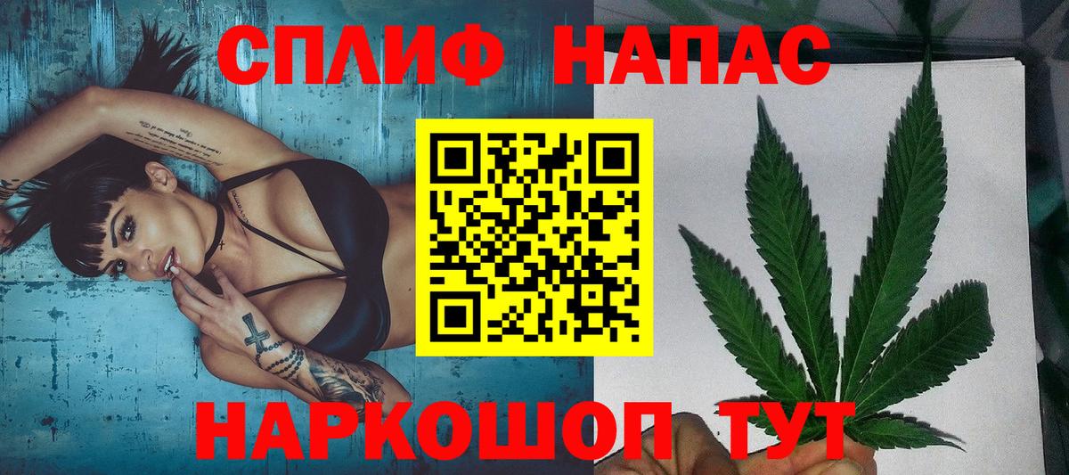 Конопля планчик Сорочинск